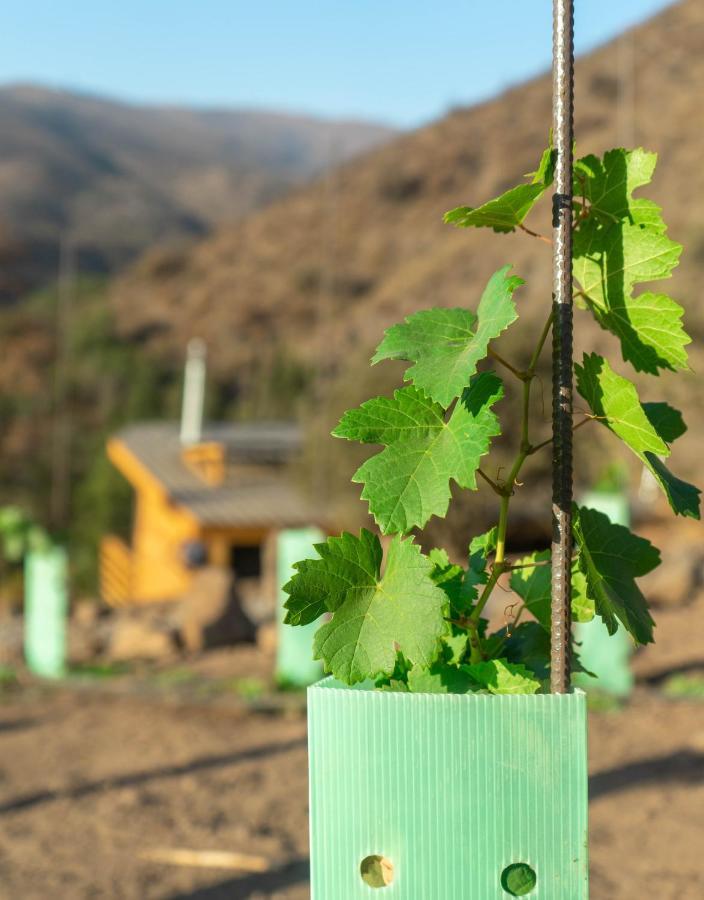 Origen Del Maipo Lodge San José de Maipo 외부 사진